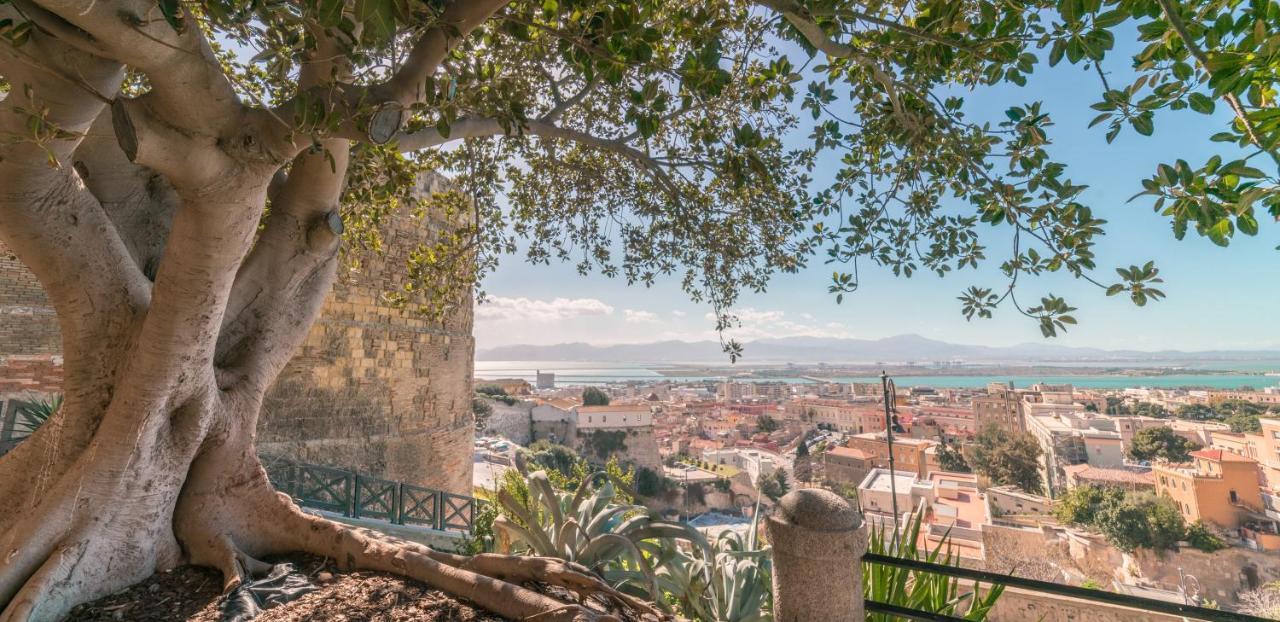 Apartamento Le Scale Sul Porto . Marina Centro Storico. Ac *